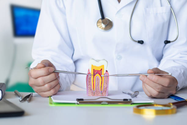 Best Emergency Tooth Extraction in Elkhart, TX